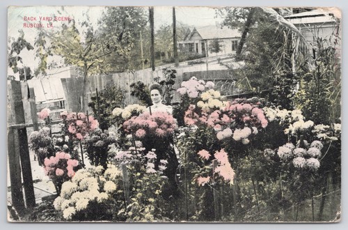 Garden back yard scene ruston - garden,