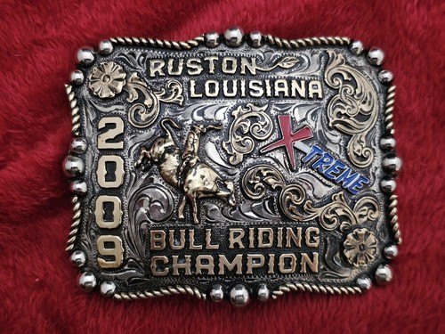 Bull riding - bull,